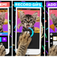 Illustration for article titled Our Favorite Android, iOS, and Windows Phone Apps of the Week